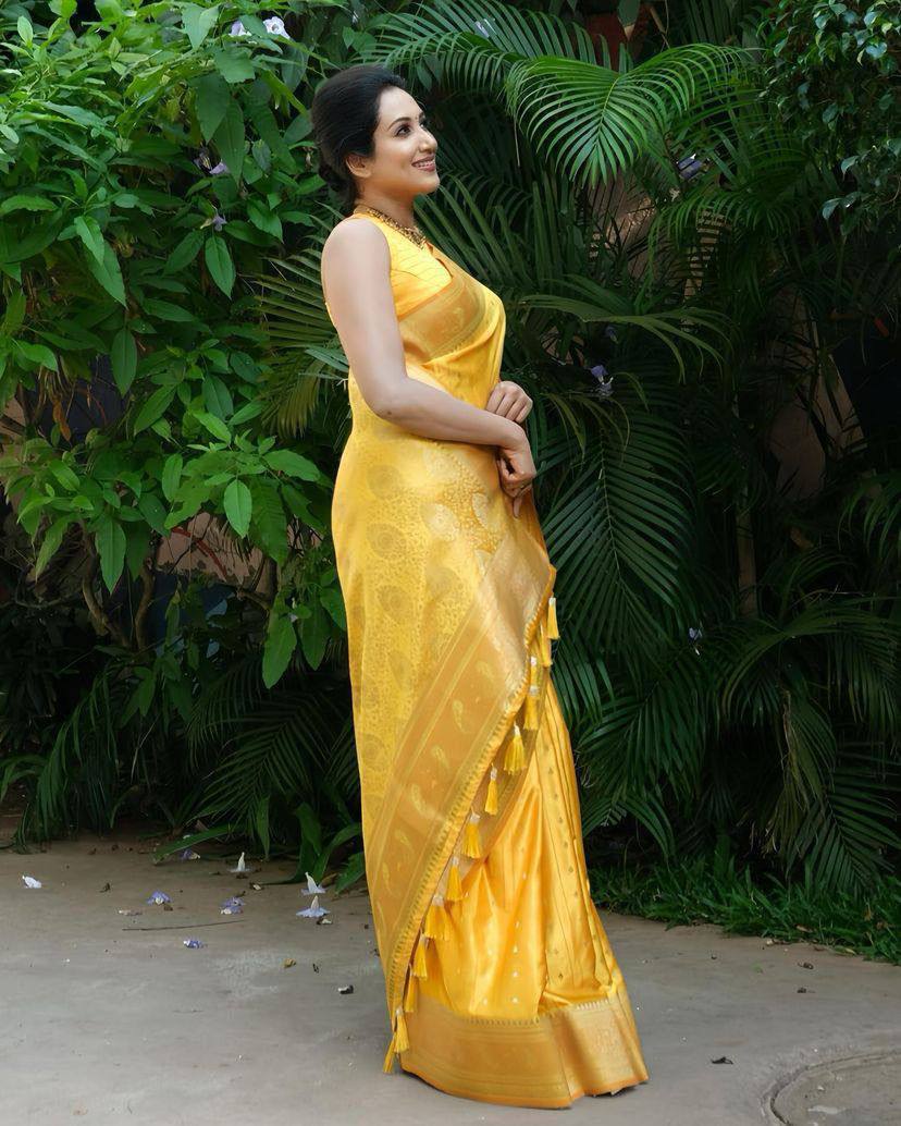 LICHI SILK SAREE