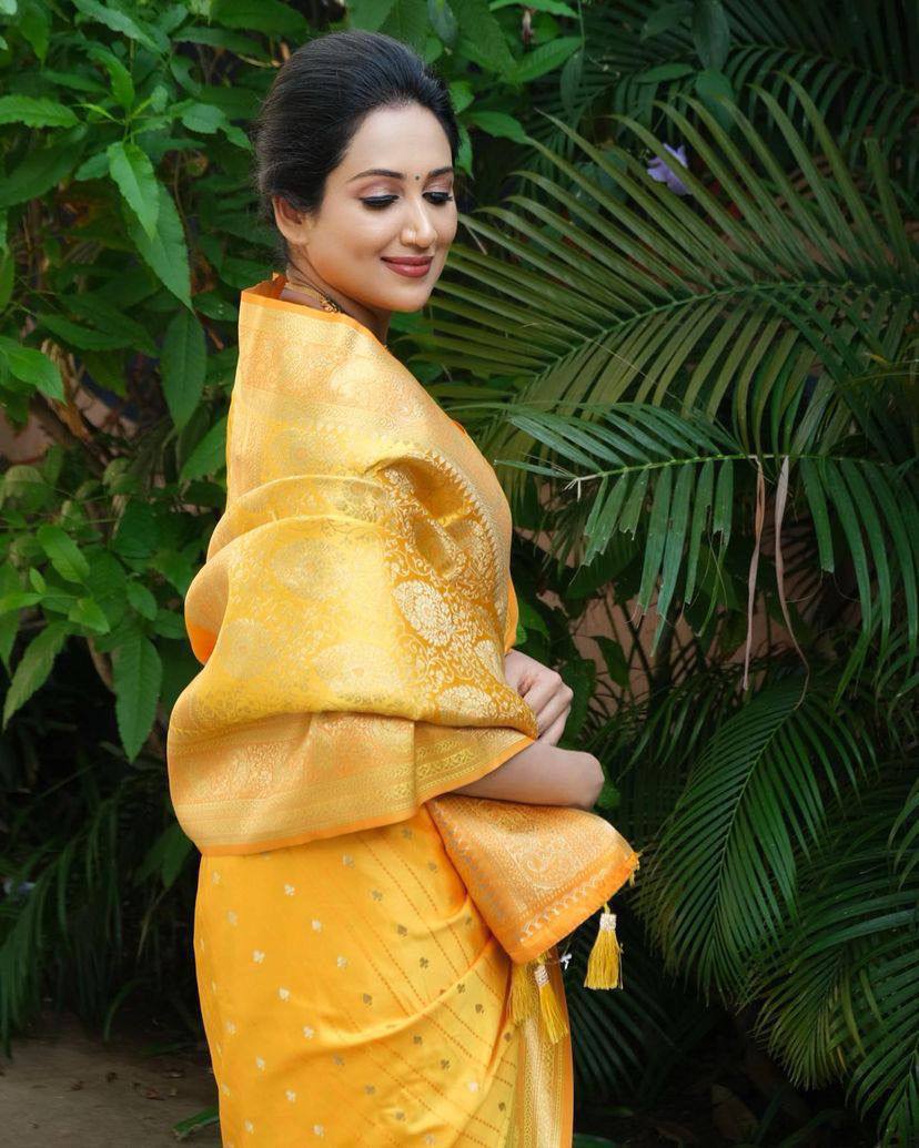 LICHI SILK SAREE