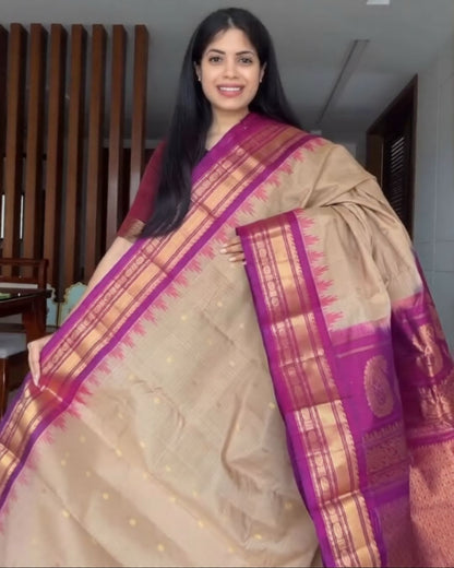 Chiku Multi Silk Saree