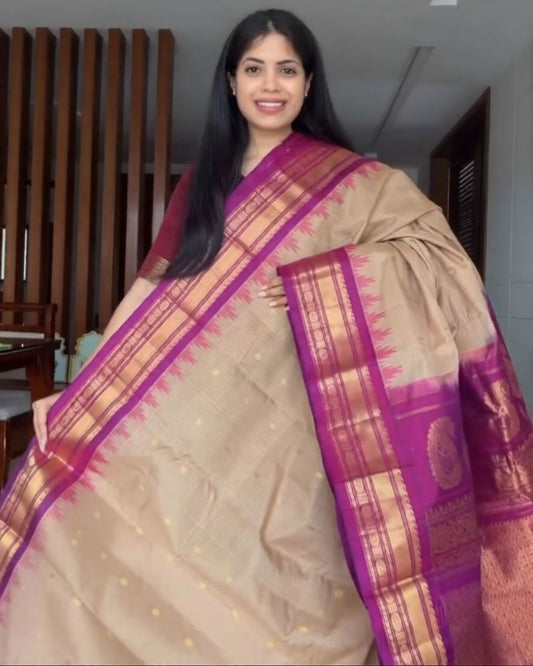 Chiku Multi Silk Saree