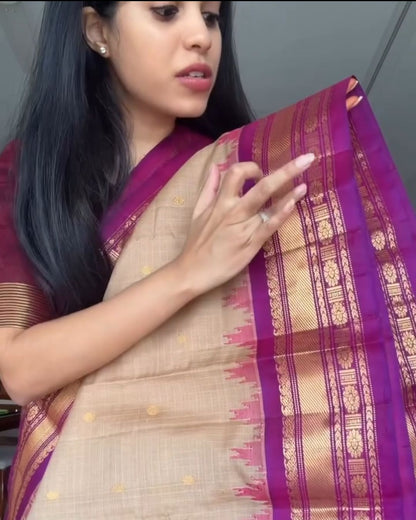 Chiku Multi Silk Saree