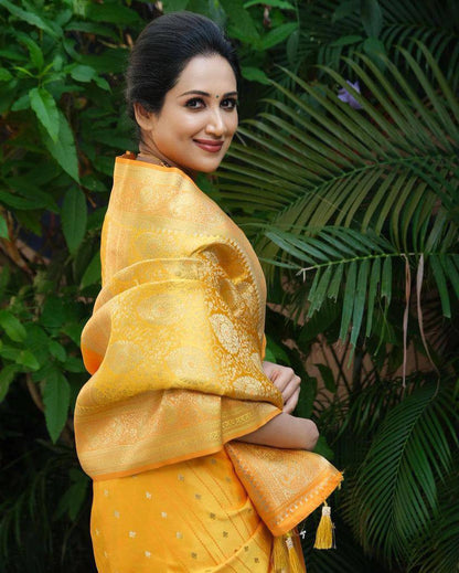LICHI SILK SAREE